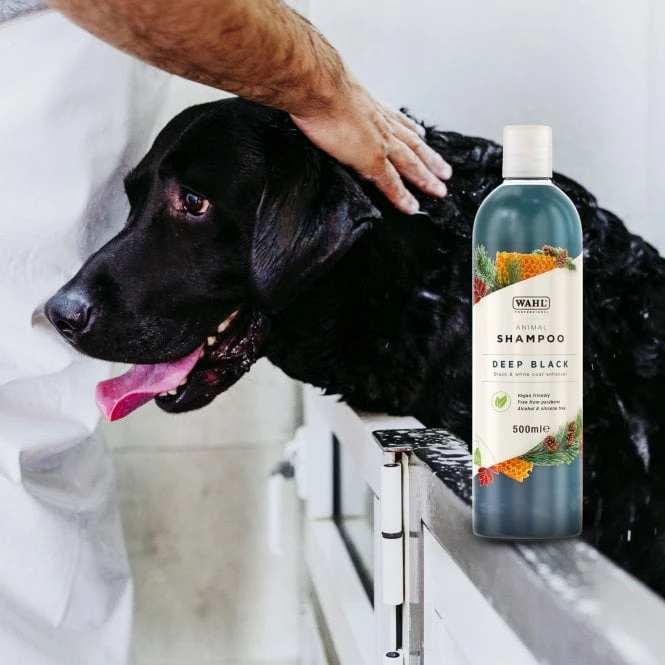 Wahl Deep Black Shampoo 500ml 6 Wahl Deep Black Shampoo 500ml - Image 6