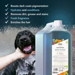 Wahl Deep Black Shampoo 5L -Groomers Professional wahl deep black shampoo 5l p18005 16238 medium