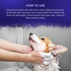 Wahl Diamond White Shampoo 500ml -Groomers Professional wahl diamond white shampoo 500ml p17569 13491 medium