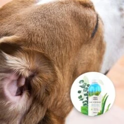 Wahl Easy Ear Cleaner -Groomers Professional wahl easy ear cleaner p17582 14686 medium