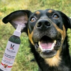 Doggy Dental Spray & Water Additive 240ml -Groomers Professional warren london doggy dental spray water additive 240ml p17963 16014 medium