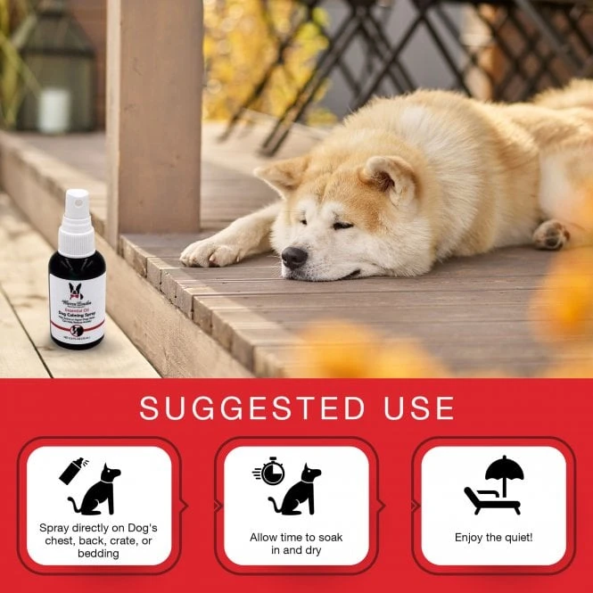 Essential Oil Dog Calming Spray 73ml 4 Essential Oil Dog Calming Spray 73ml - Image 4