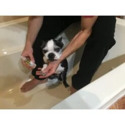 Grapeseed Oil Paw & Nose Revitalizer 30ml -Groomers Professional warren london grapeseed oil paw nose revitalizer 30ml p1829 10925 medium