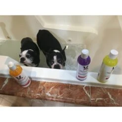 Oatmeal Shampoo 503ml 11 Oatmeal Shampoo 503ml -Groomers Professional warren london oatmeal shampoo 503ml p3783 7723 medium