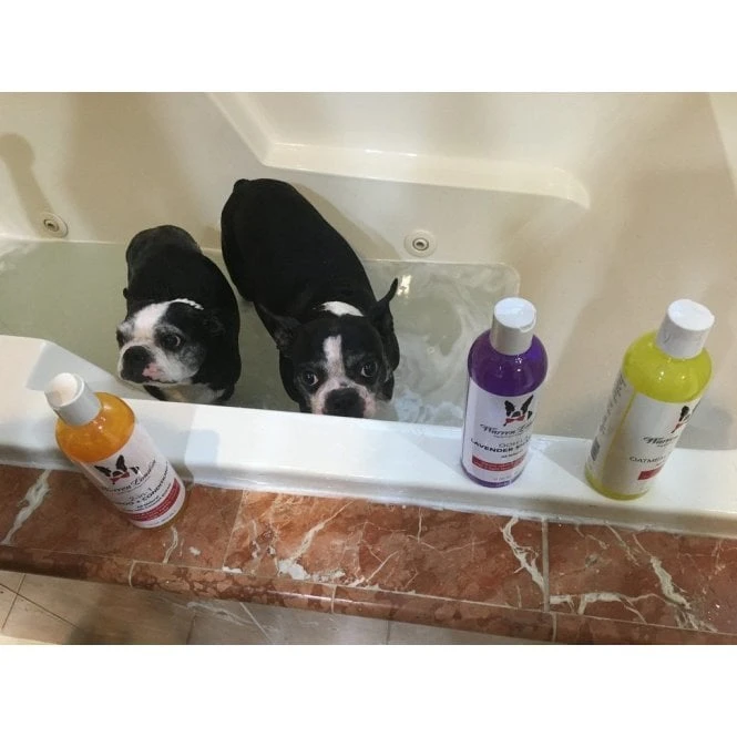 Oatmeal Shampoo 503ml 6 Oatmeal Shampoo 503ml - Image 6