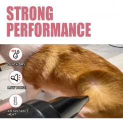 B-123 High Velocity Dryer With Heat 9 B-123 High Velocity Dryer With Heat -Groomers Professional xpower b 123 high velocity dryer with heat p17864 14954 medium