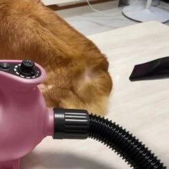 B-123 High Velocity Dryer With Heat 12 B-123 High Velocity Dryer With Heat -Groomers Professional xpower b 123 high velocity dryer with heat p17864 14957 medium